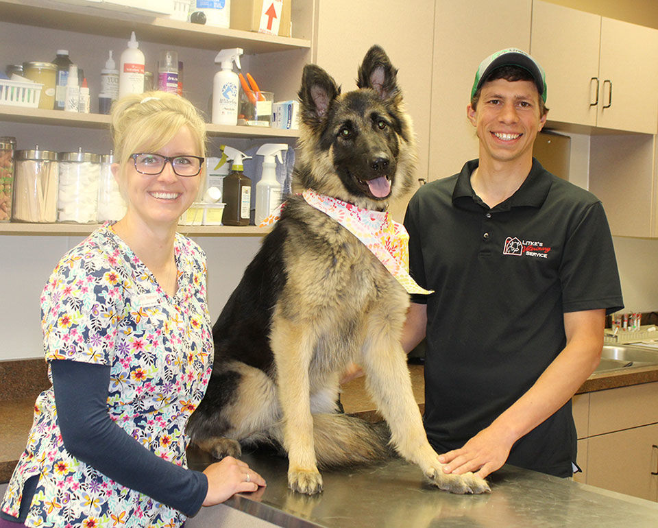 With a love for animals, Gapinski and Petron joins Litke’s Veterinary Clinic